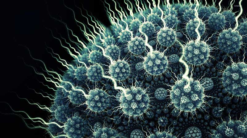 10 viruses like covid 19 that can cause next pandemic